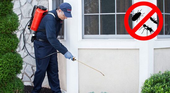 Harmandalı Kene İlaçlama böcek ilaçlama ve haşere kontrolü — ilaclama-tr.com
